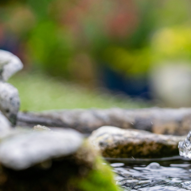 The Benefits of Adding Water Features to Your Garden