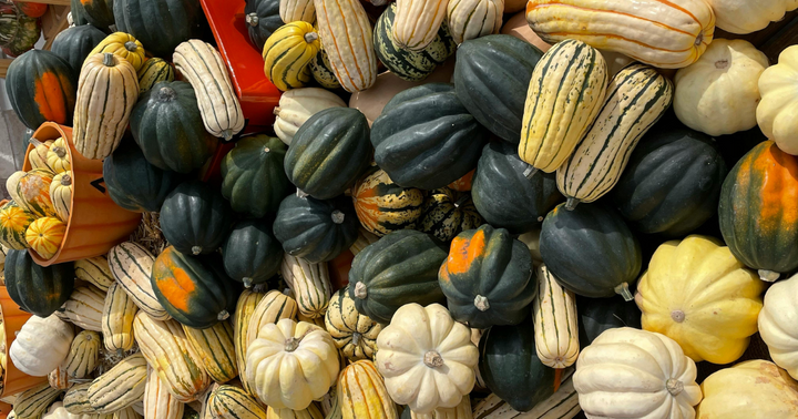 How To Grow Wonderful Winter Squash