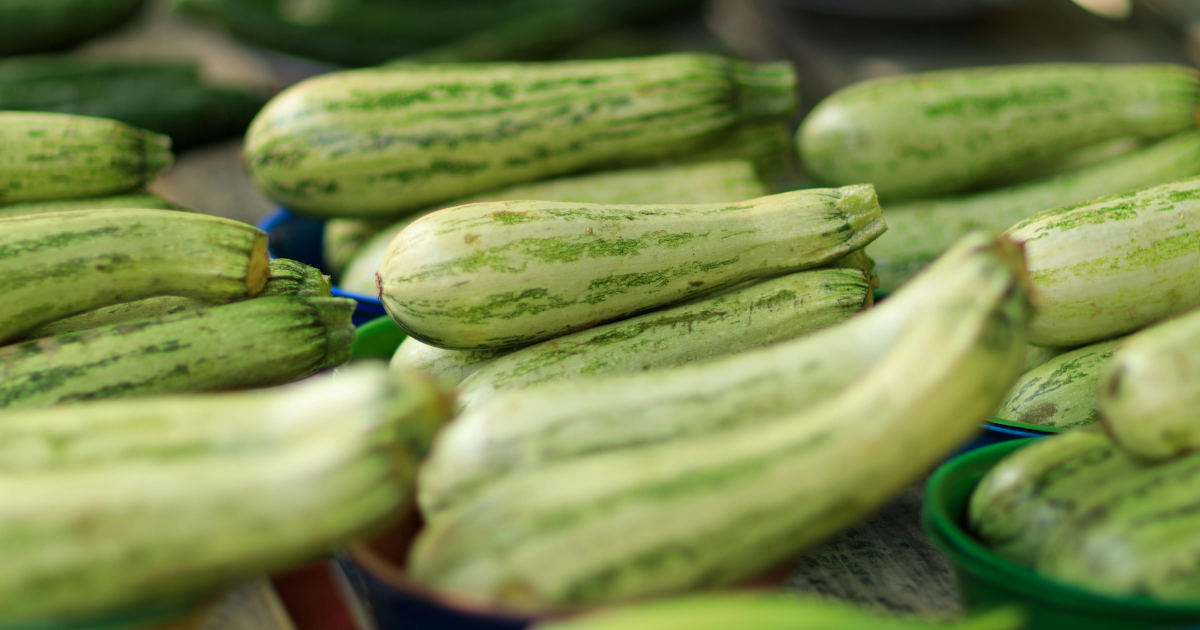 zucchini squash