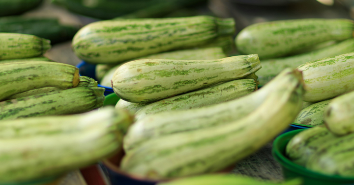 zucchini squash