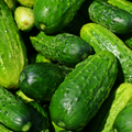 Cucumbers