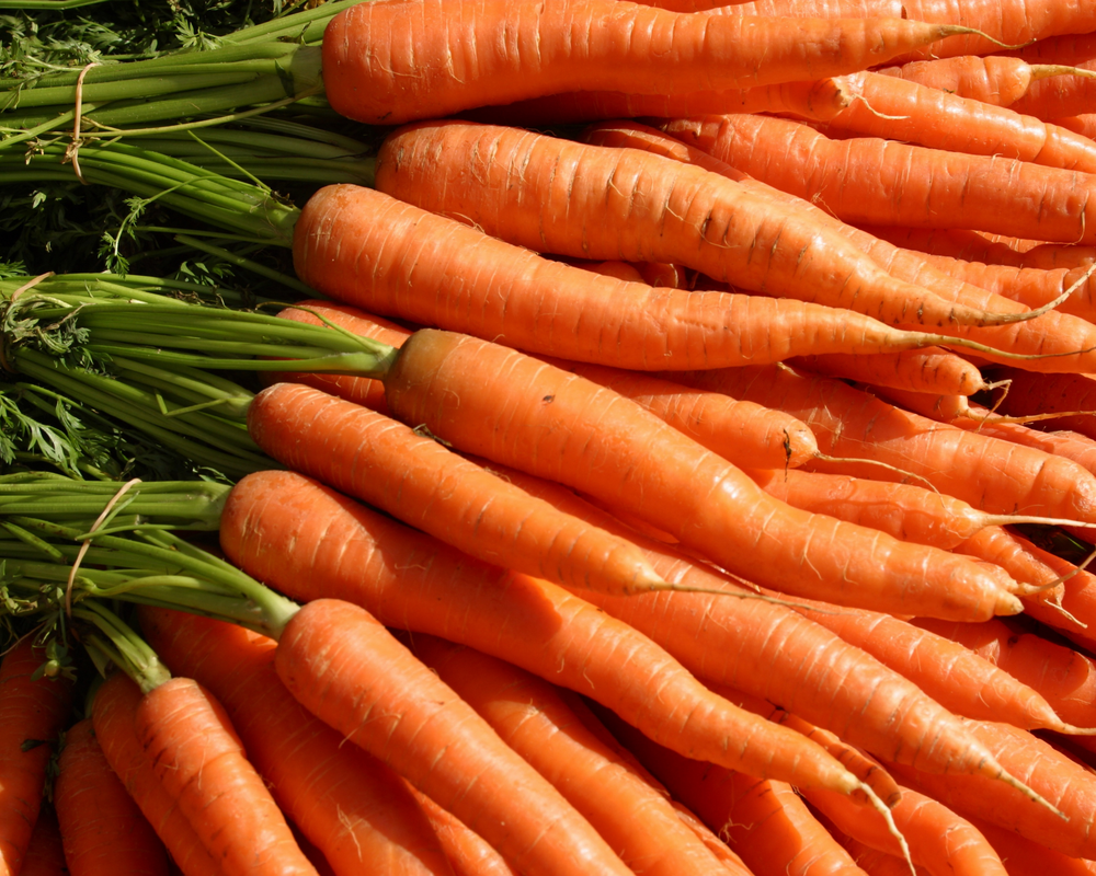 Carrots & Roots