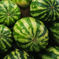 Melons