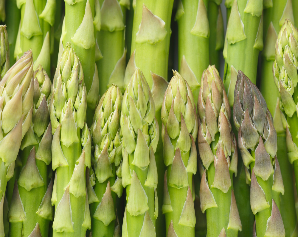 Asparagus