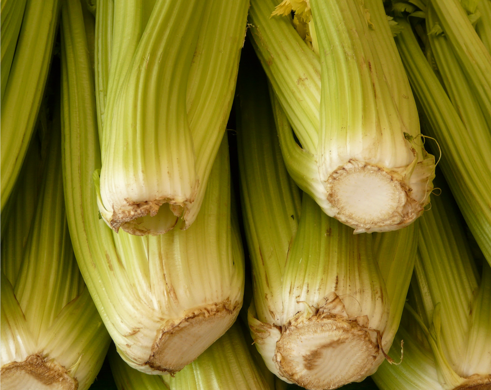 Celery