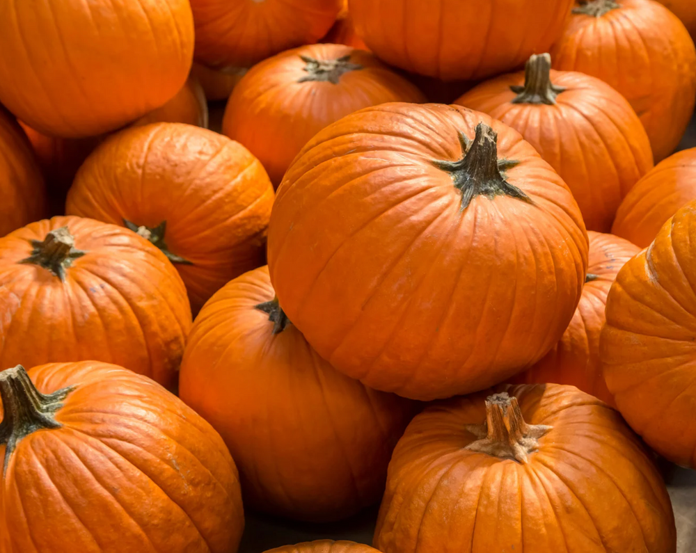 Pumpkins
