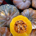 Squash & Zucchini
