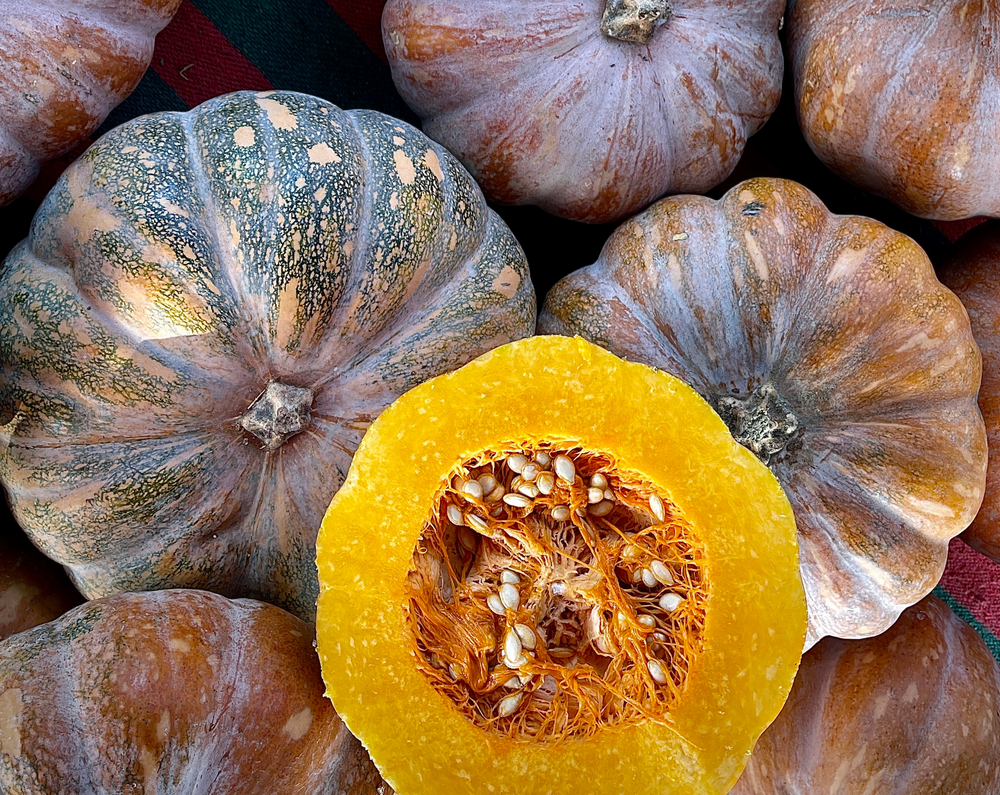 Squash & Zucchini