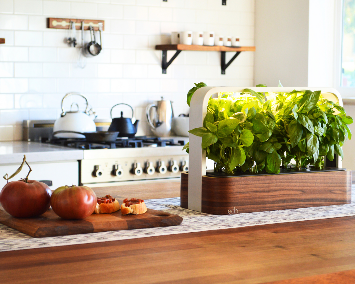 Indoor Gardening — Seeds 'n Such