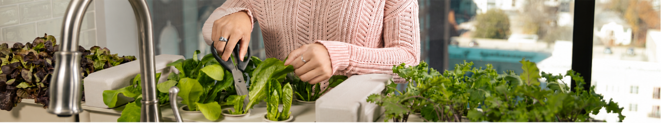 Recommended for Hydroponics & Smart Gardens