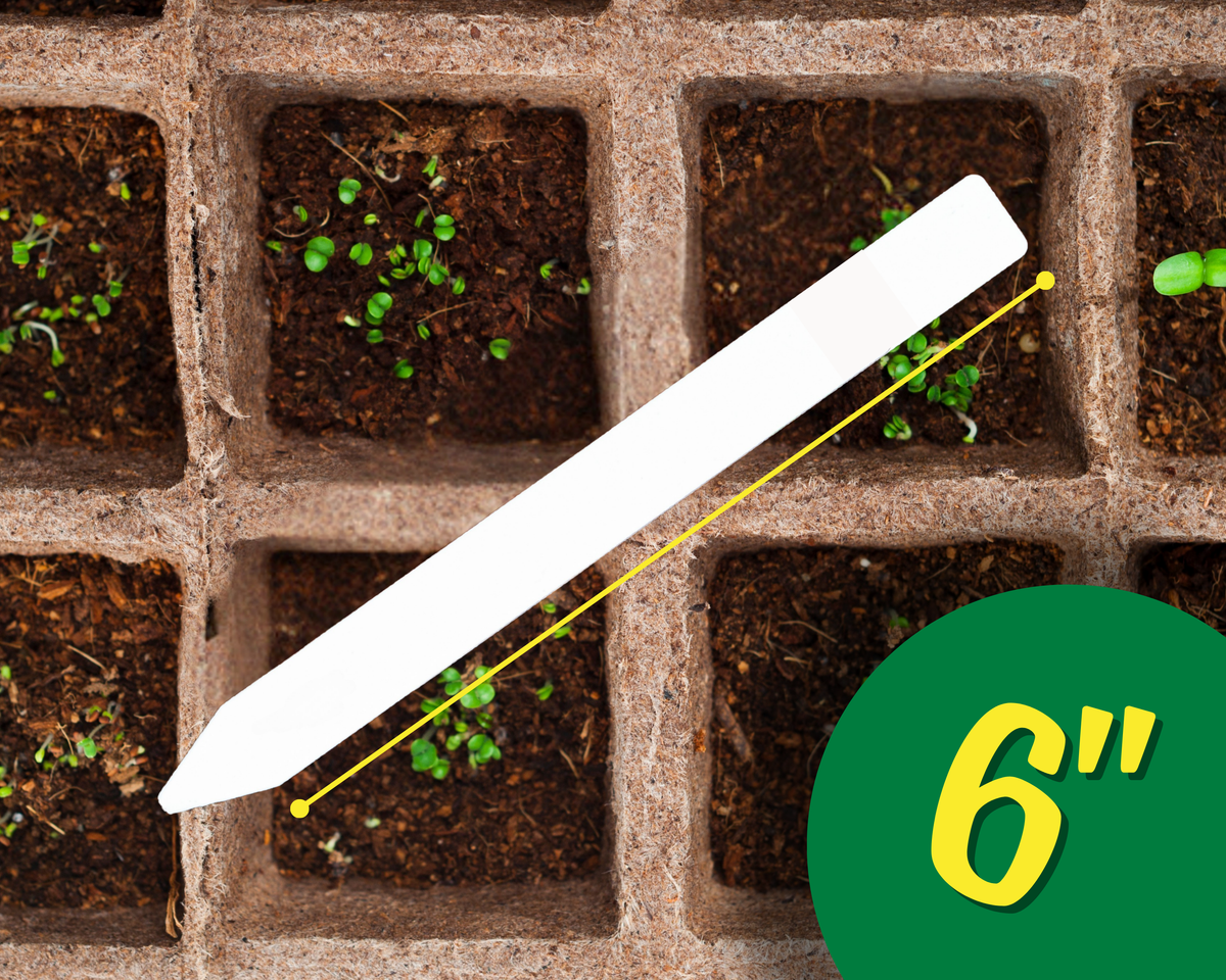 Plant Labels - 6"