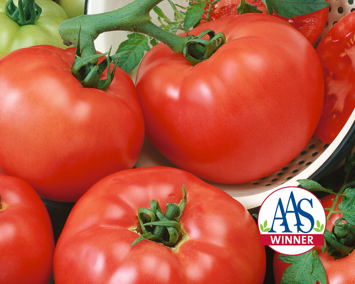 Chef's™ Choice Red Hybrid Beefsteak Tomato Seeds
