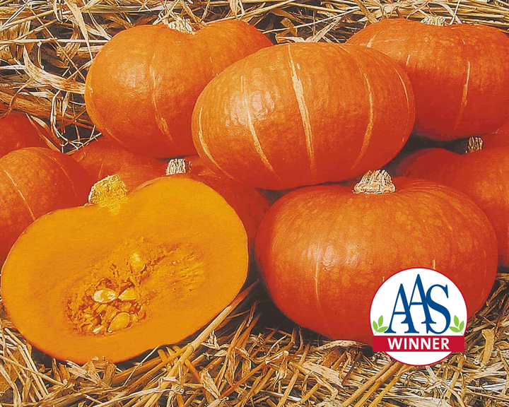 Sunshine Hybrid Kabocha Squash Seeds