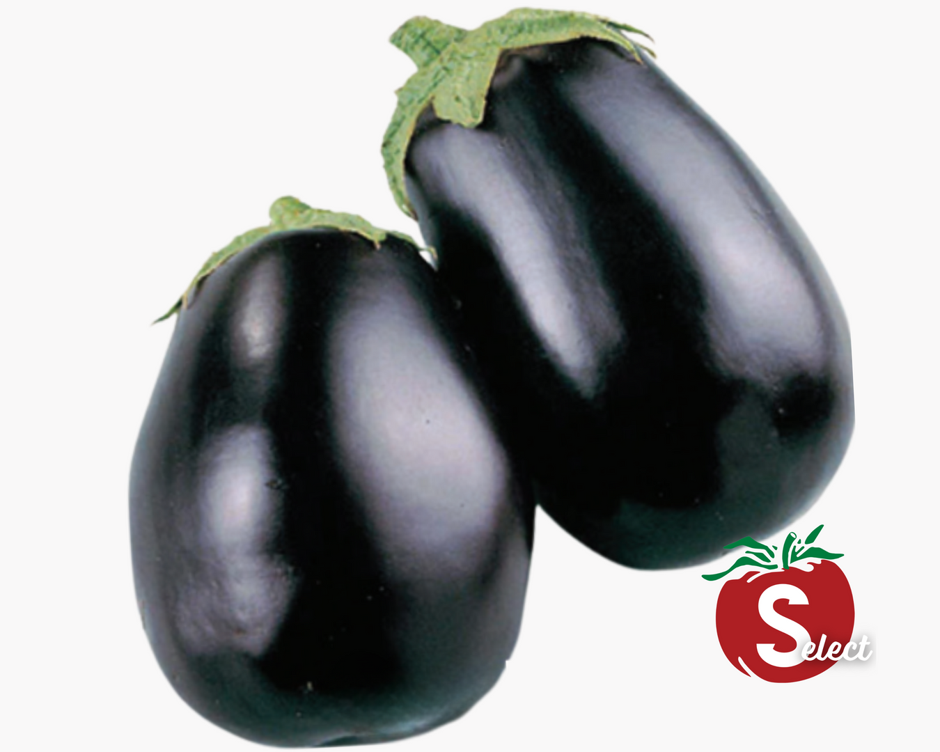 Heirloom Eggplants