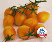 Sunset Torch Hybrid Tomato Seeds