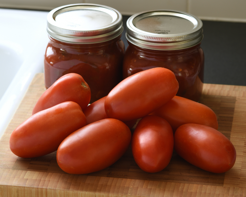 Bulk: Bellatrix Hybrid Roma FFFTLb Tomato Seeds