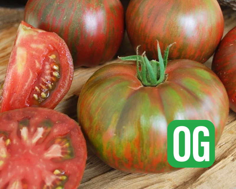 Pink Berkeley Tie-Dye Tomato Seeds
