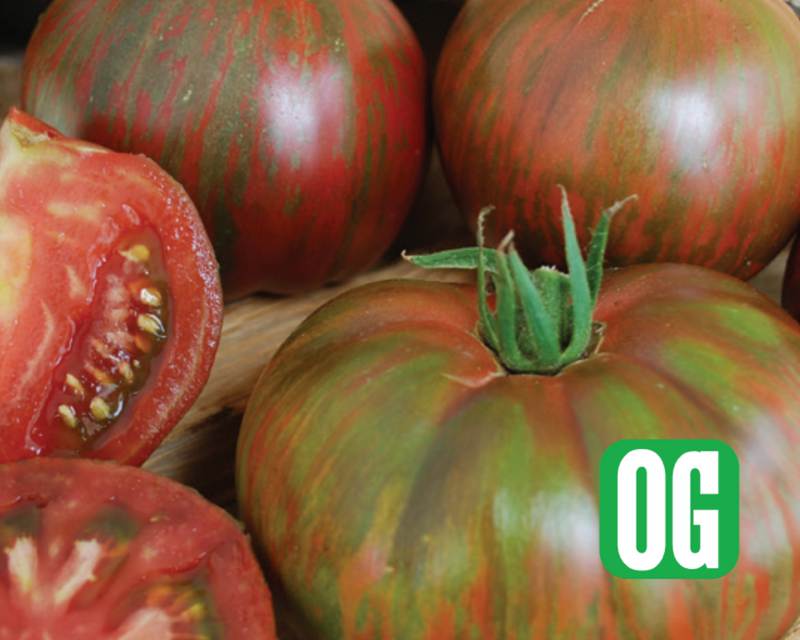 Bulk: Pink Berkeley Tie-Dye Tomato Seeds