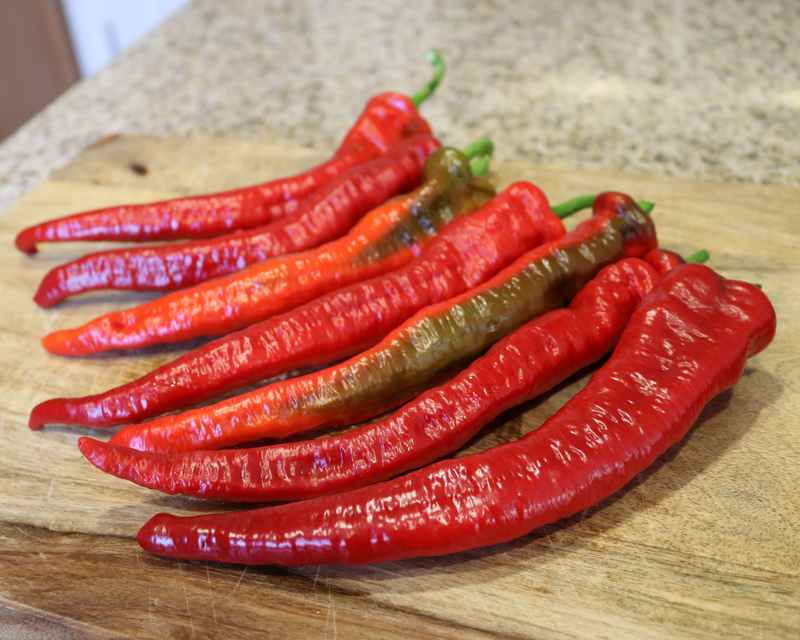 Mesilla Hybrid Pepper Seeds
