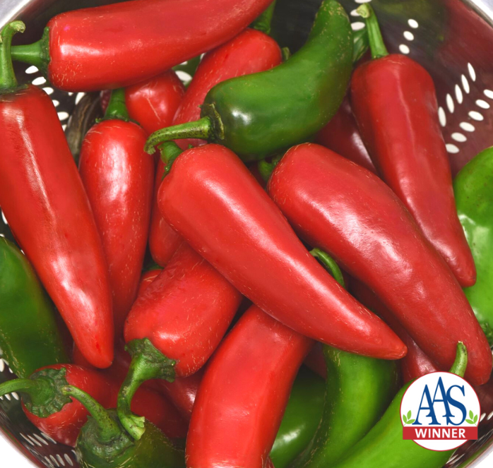 Bulk: Pot-a-Peño Pepper Seeds