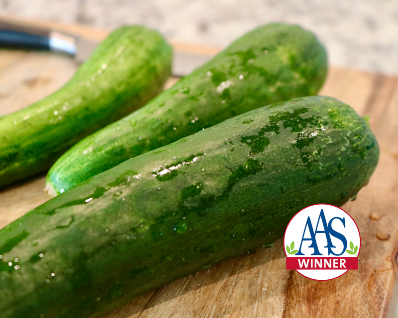 Sweet Success Hybrid Cucumber Seeds