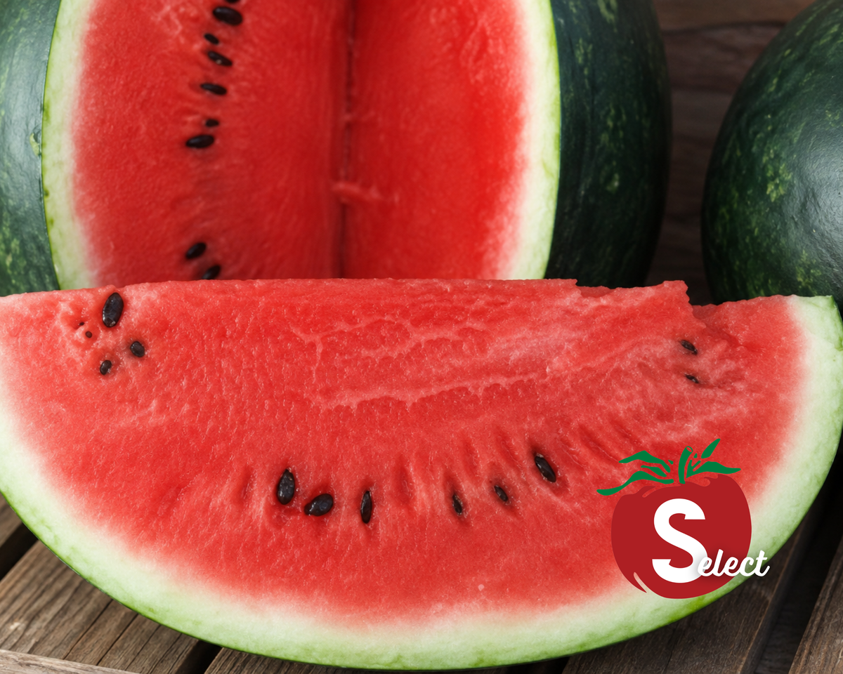 Sugar Baby Icebox Watermelon Seeds