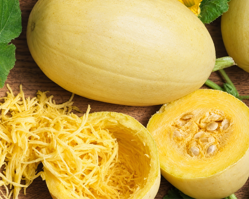 Vegetable Spaghetti Winter Squash Seeds
