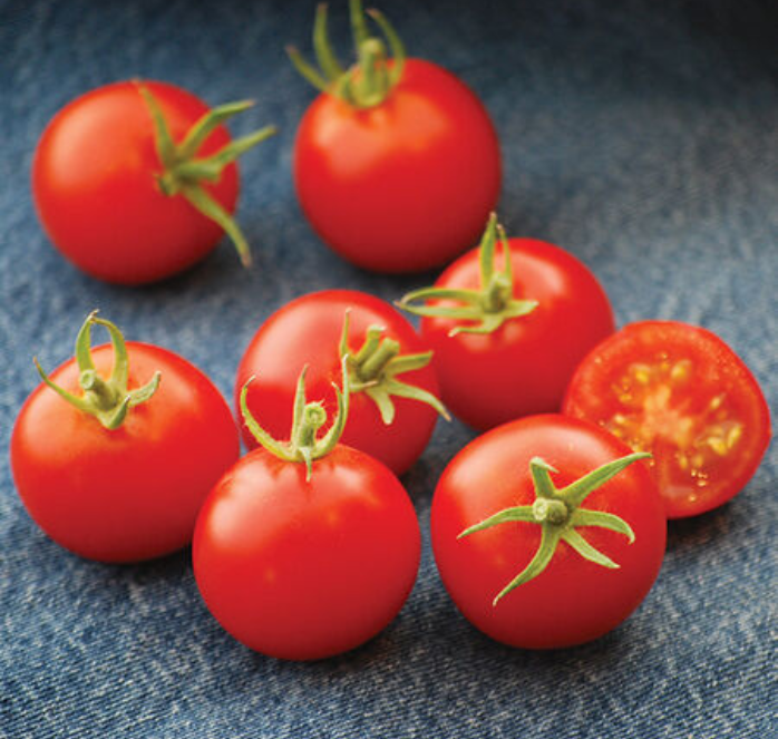 Bulk: 42-Day Tomato Seeds