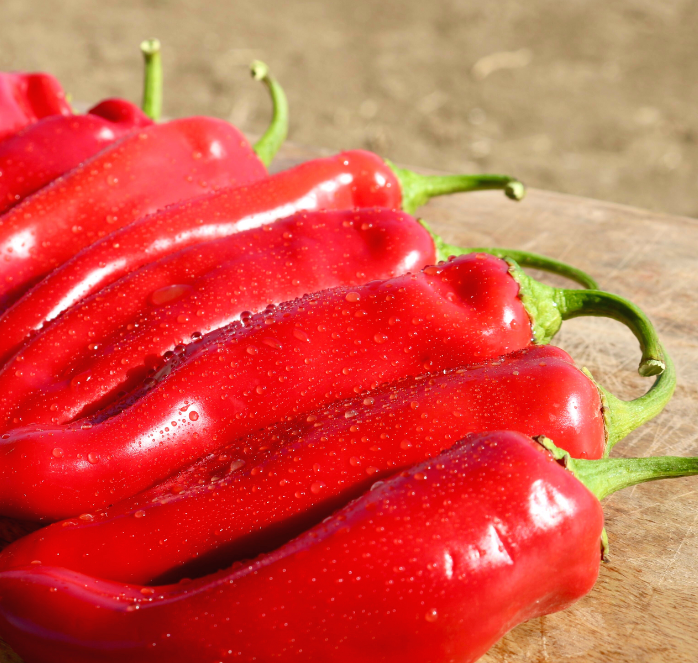 Bulk: Biggie Chile Hybrid Hot Pepper Seeds