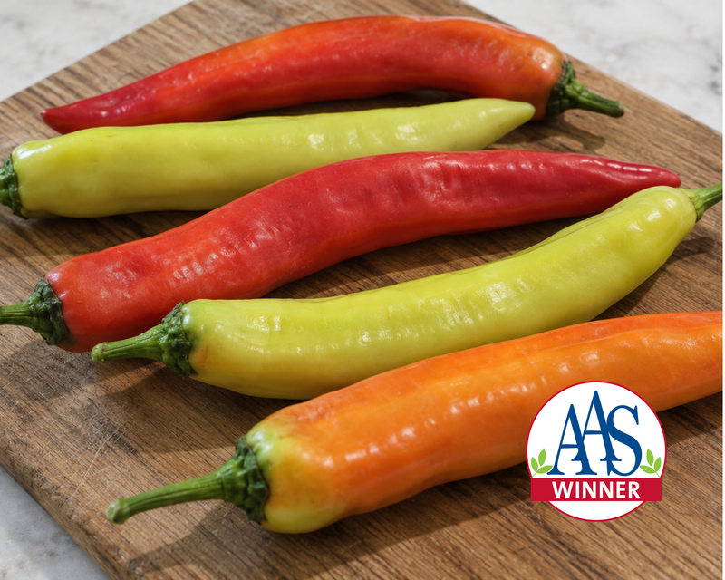 Hot Sunset Hybrid Pepper Seeds