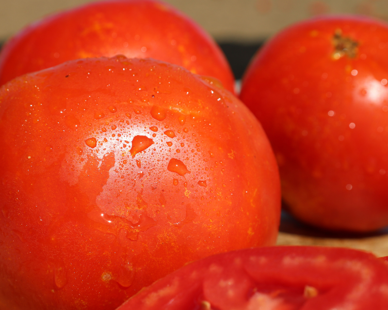 Bulk: Saybrook Hybrid Tomato Seeds