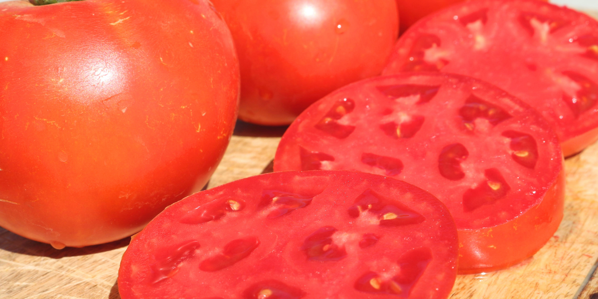 Jamestown Hybrid Tomato Seeds — Seeds 'n Such