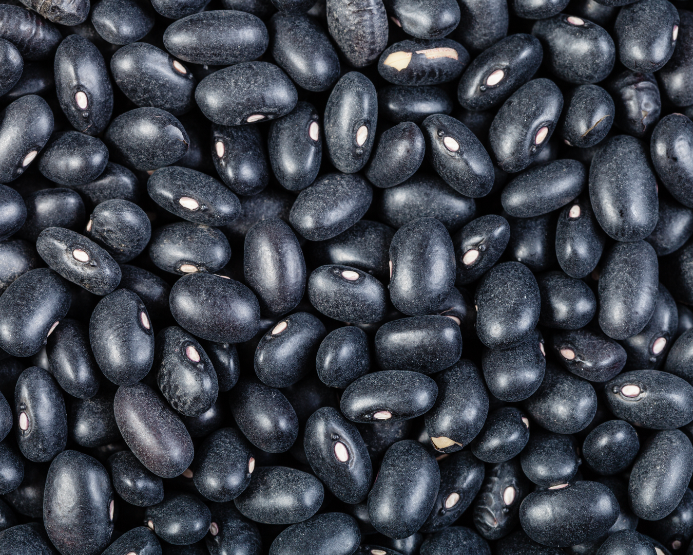 Dried Beans
