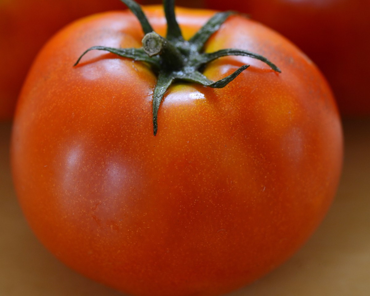 Little Sicily Hybrid Tomato Seeds