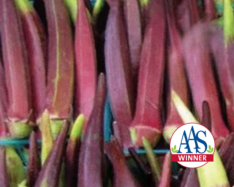 Bulk: Burgundy Okra Seeds