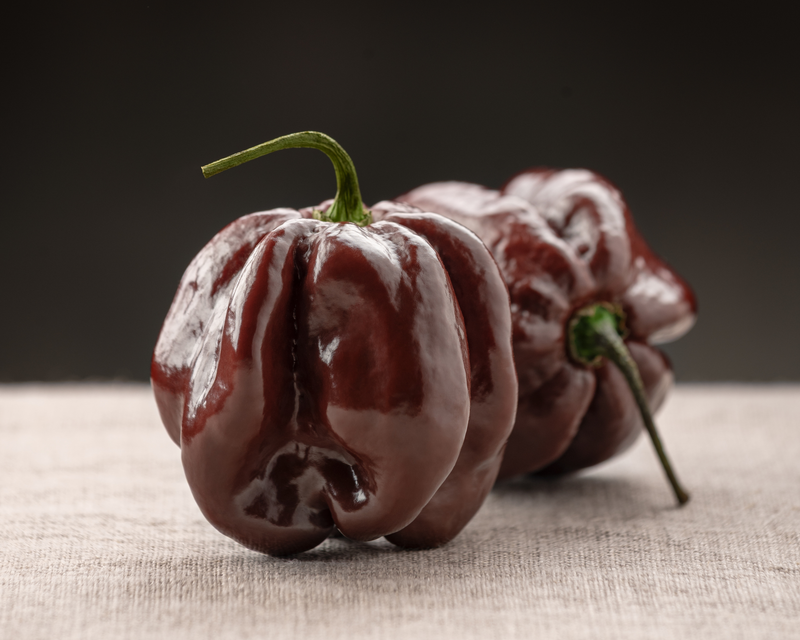 Bulk: Congo Black Hot Pepper Seeds