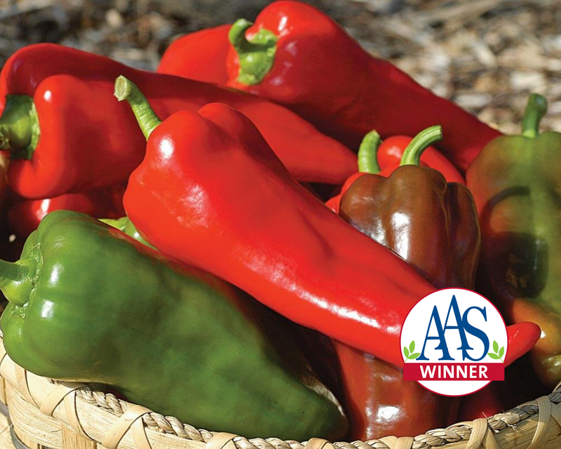 Carmen Hybrid Pepper Seeds