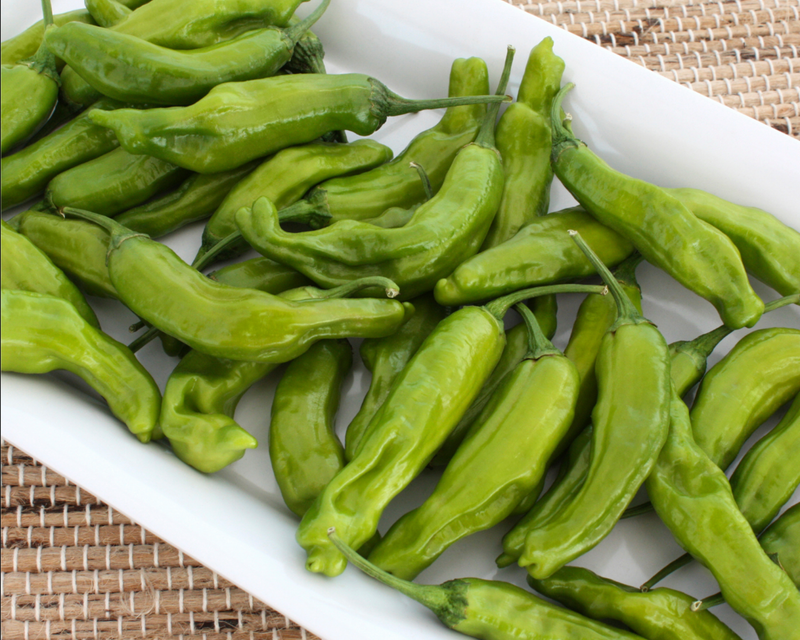 Takara Shishito Hybrid Pepper Seeds