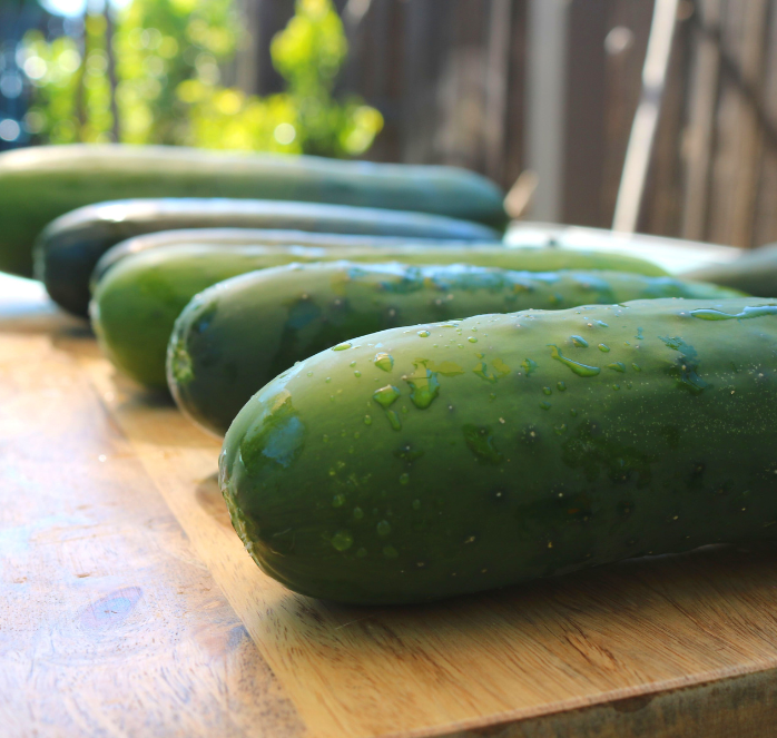 Bulk: Burpless Supreme Hybrid Cucumber Seeds