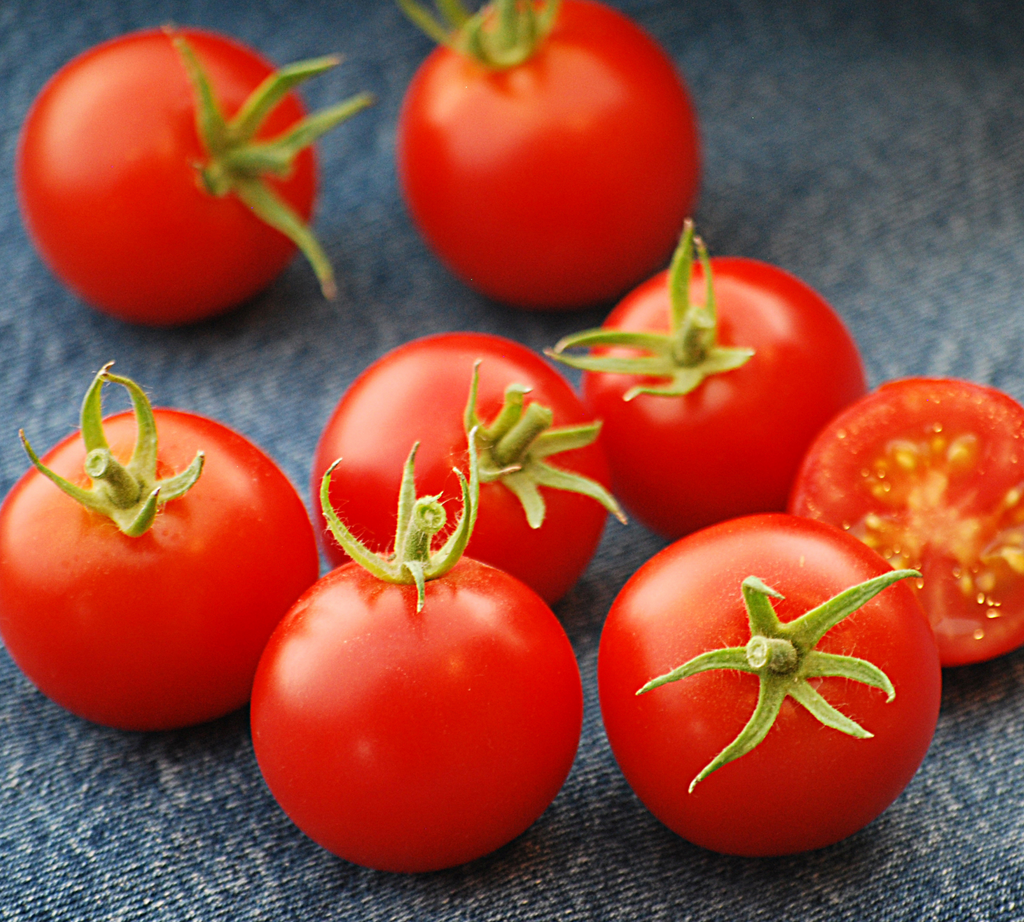 tomato._530さん 42-Day Tomato - Thresh Seed Co.