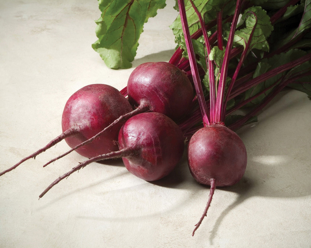 Merlin Hybrid Beet Seeds