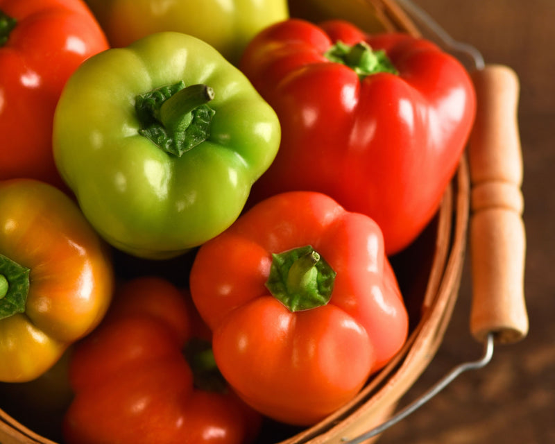 Bulk: Prism Hybrid Snack Bell Pepper Seeds