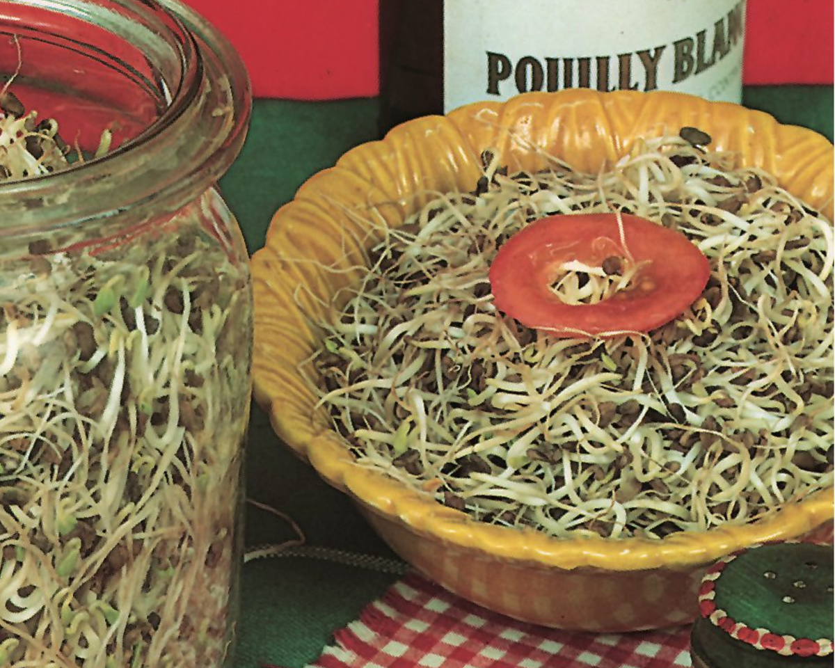 Old Mexico Microgreens Mix Seeds