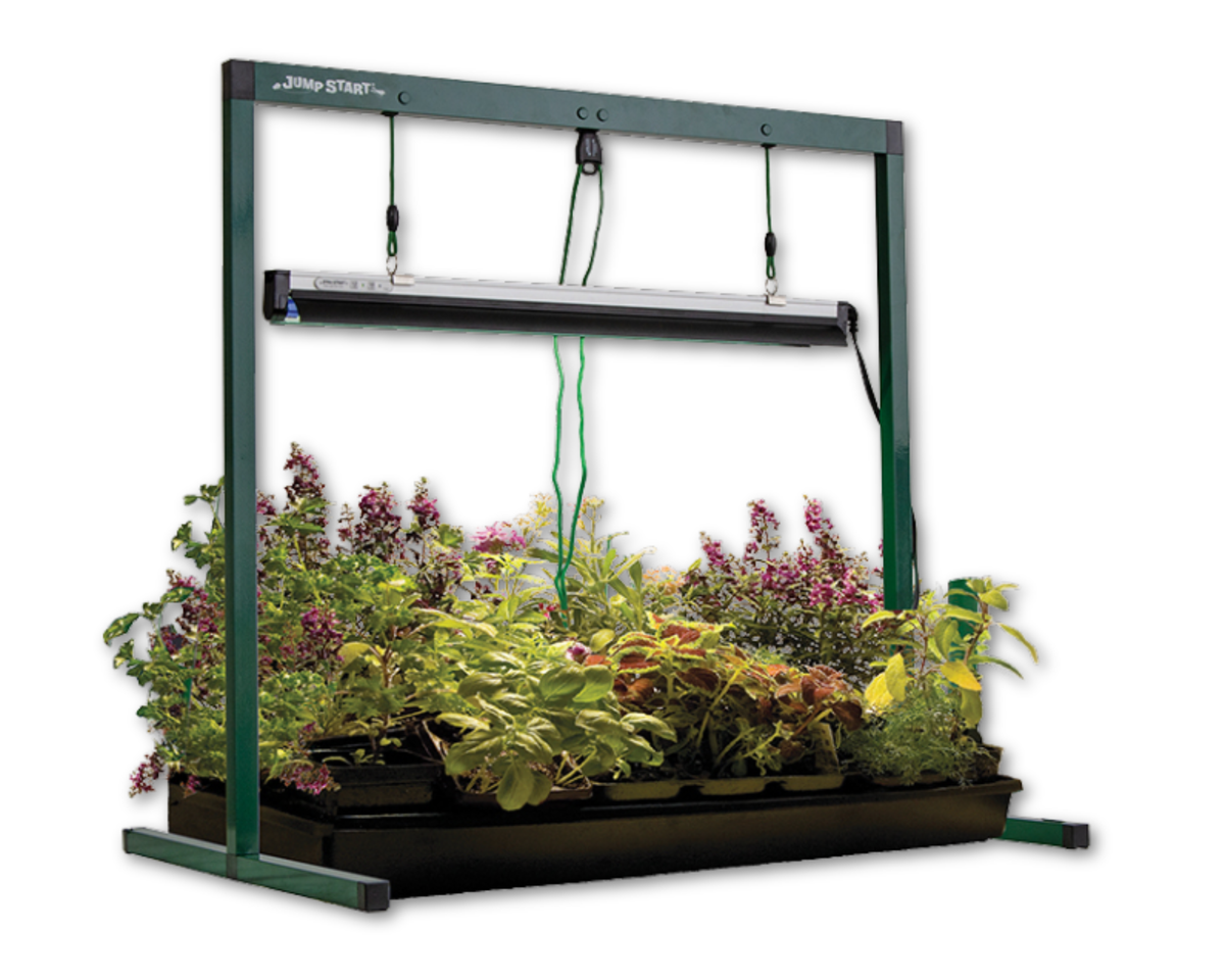 Tabletop Grow-Light System