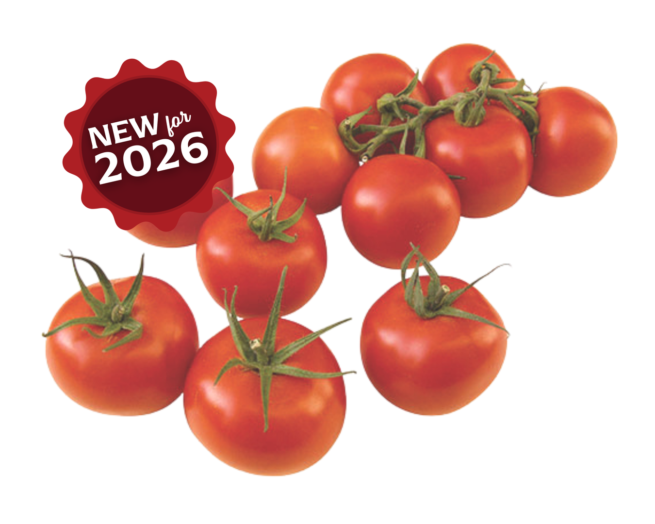 New for 2026: Tomatoes