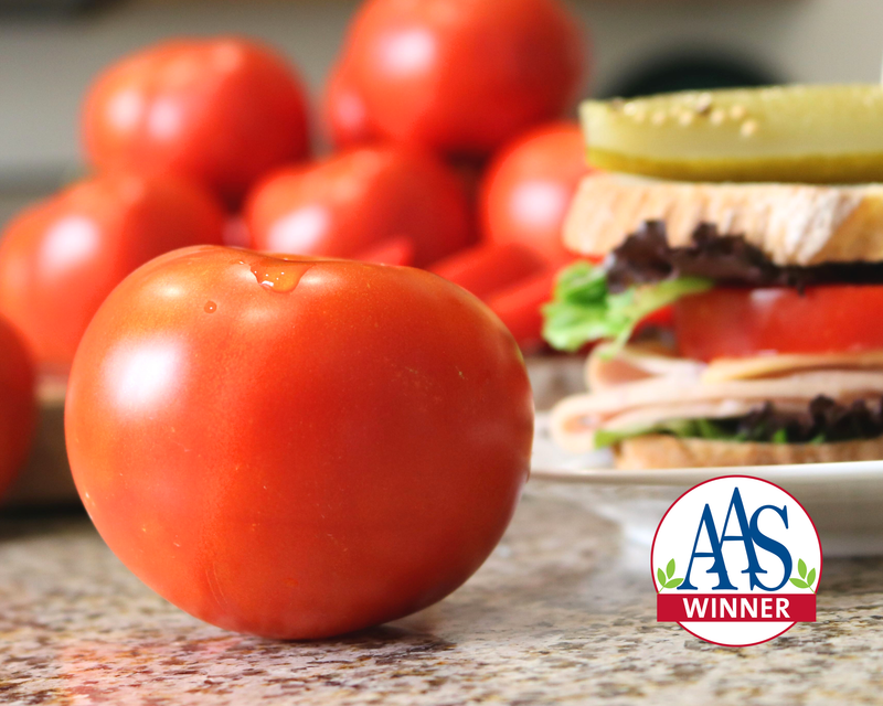 Bulk: Celebrity Plus Hybrid Tomato Seeds