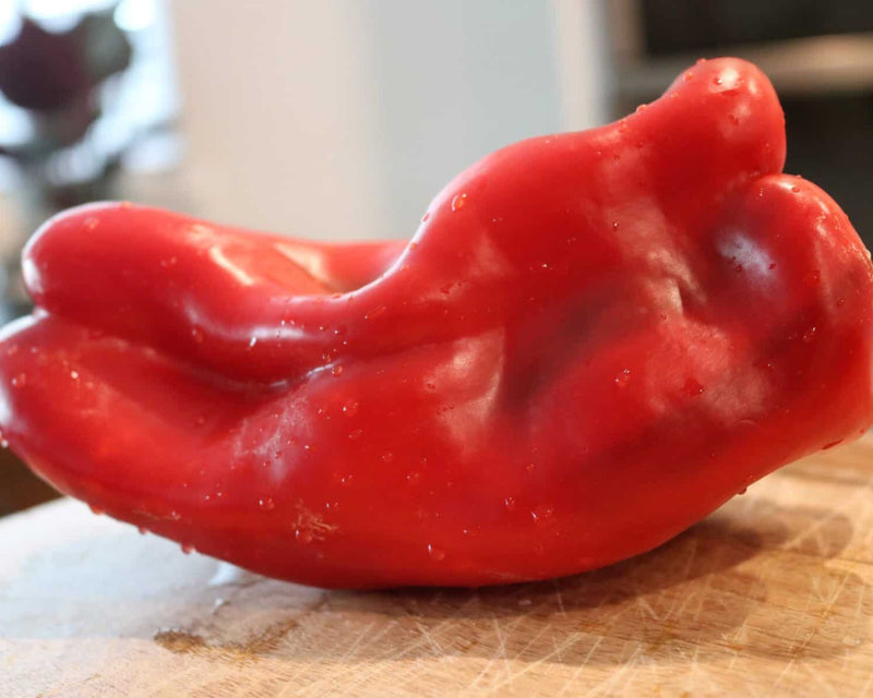 Bulk: Red Impact Hybrid Lamuyo Sweet Pepper Seeds