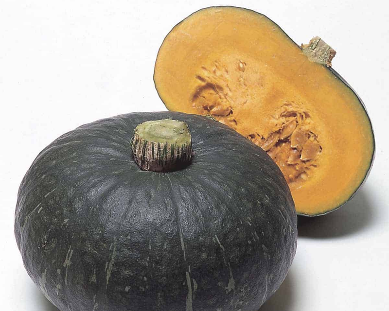 Bulk: Sweet Mama Hybrid Winter Squash Seeds
