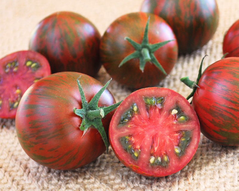 Purple Zebra Hybrid Tomato Seeds