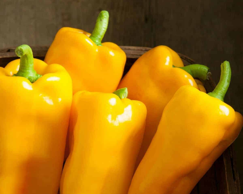 Escamillo Hybrid Pepper Seeds